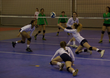 IMG_6108.jpg