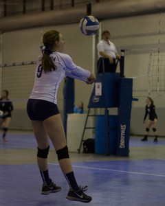IMG_6383.jpg