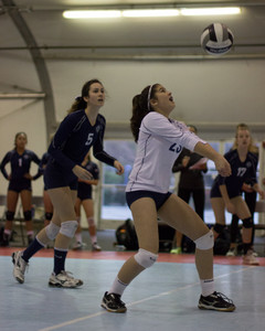 IMG_6689.jpg