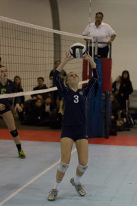 IMG_6953.jpg