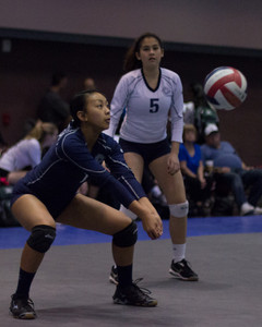 IMG_7626.jpg