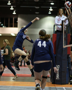 IMG_8261.jpg